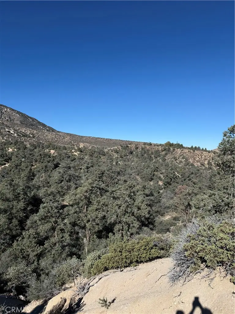 28103 Desert Front Rd, Pinon Hills, CA 92372 - #3