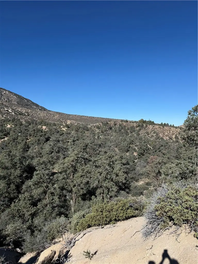 28102 Desert Front Rd, Pinon Hills, CA 92372 - #3