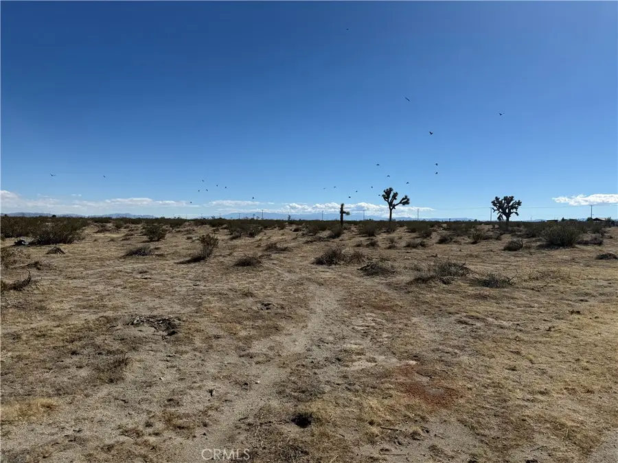 0 Emerson Avenue, Adelanto, CA 92301 - #3