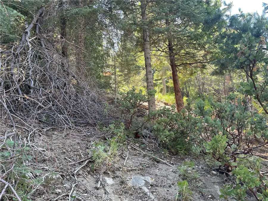28 Lot 28 Forest Lane, Twin Peaks, CA 92391 - Image #3