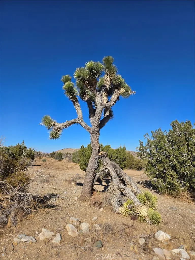 0 Murphys Lane, Littlerock, CA 93543 - Image #1