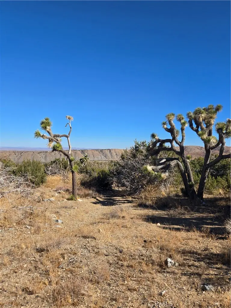 0 Murphys Lane, Littlerock, CA 93543 - Image #3