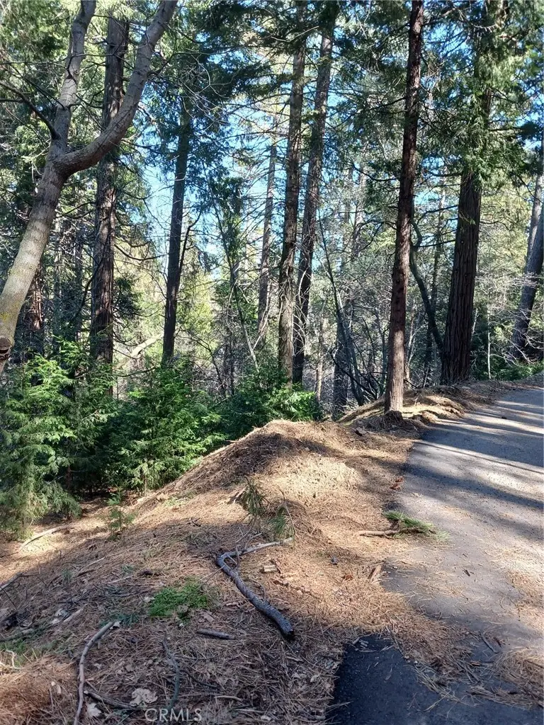 35 Spring Drive, Cedarpines Park, CA 92322 - #3