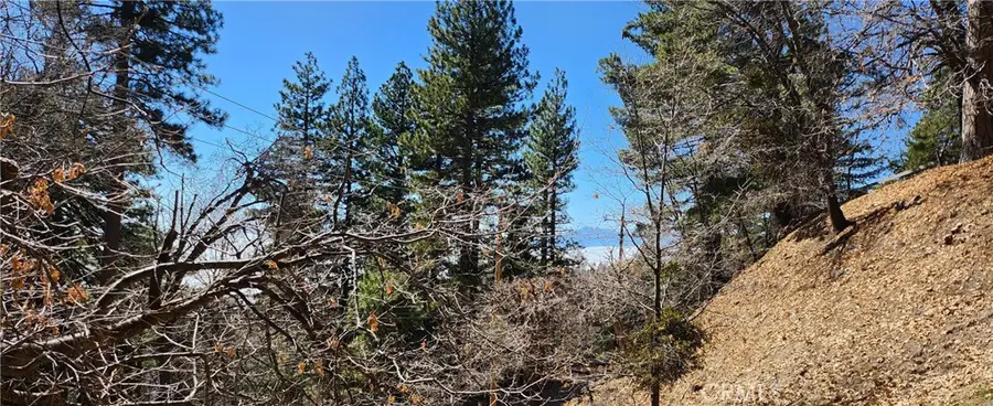 0 Preston Drive, Running Springs, CA 92382 - Image #2