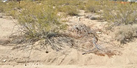 1 Alta Loma Drive, 29 Palms, CA 92277