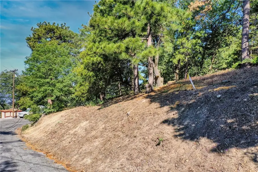 246 Lot Ferndale Dr, Running Springs, CA 92382 - Image #2