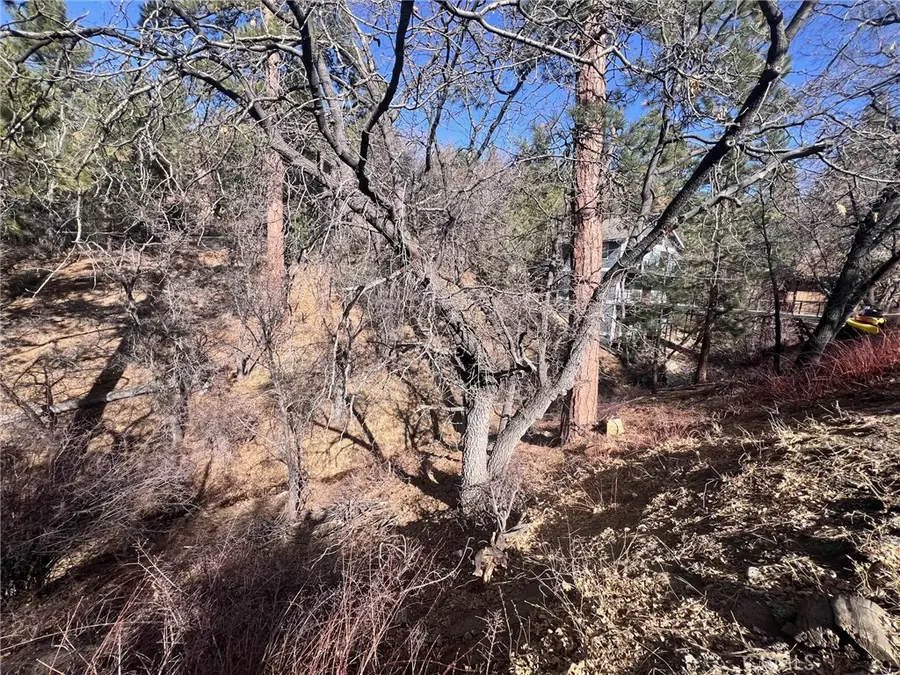 1230 S Minton Avenue, Big Bear City, CA 92314 - Image #2