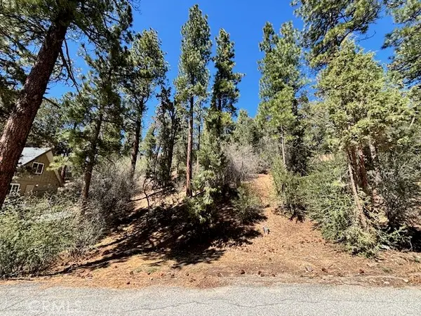 0 E Rainbow Boulevard, Big Bear City, CA 92314
