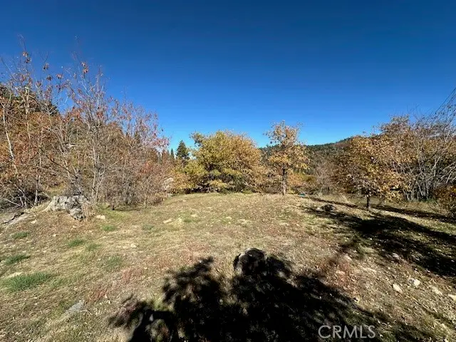 2379 Chicago Drive, Running Springs, CA 92382 - #2