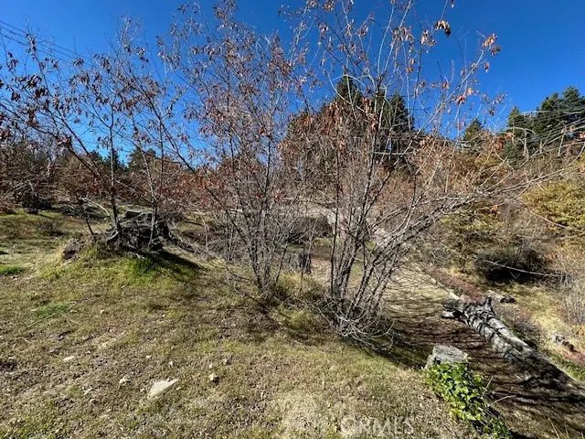 2379 Chicago Drive, Running Springs, CA 92382 - #3
