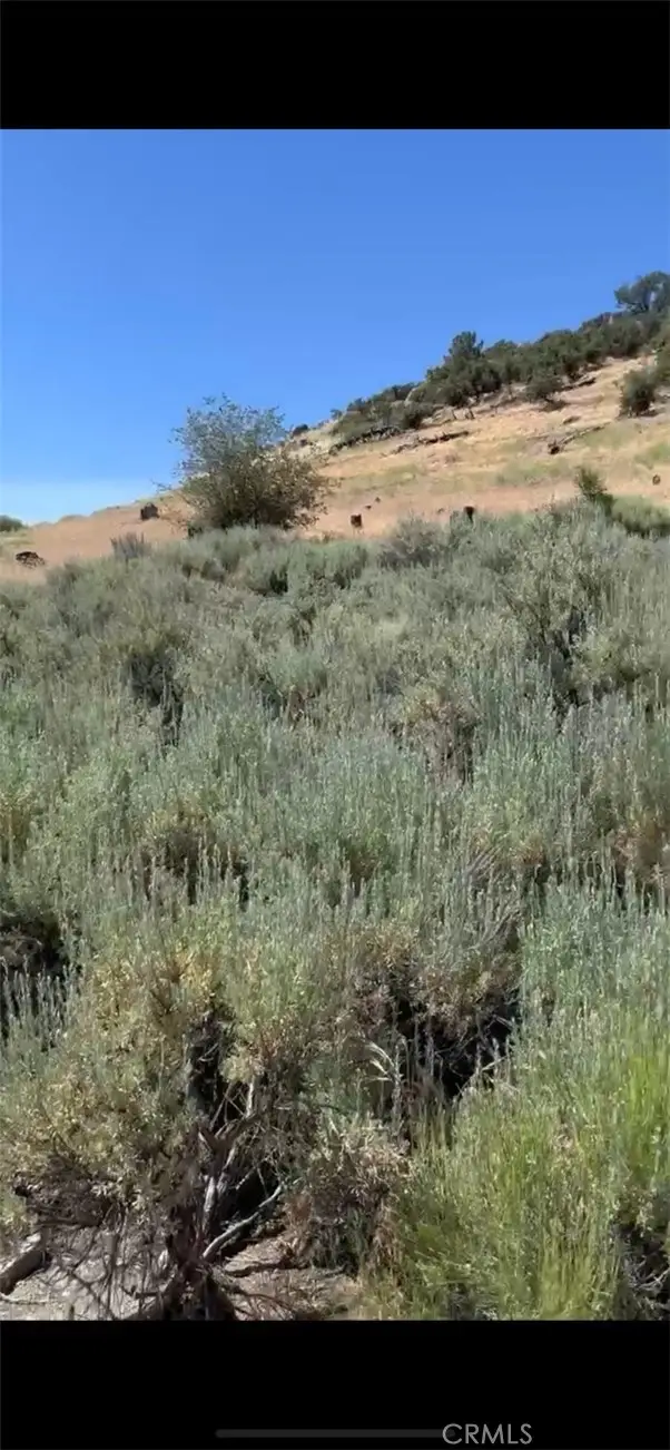 24151 Jacaranda Drive, Tehachapi, CA 93561 - Image #2