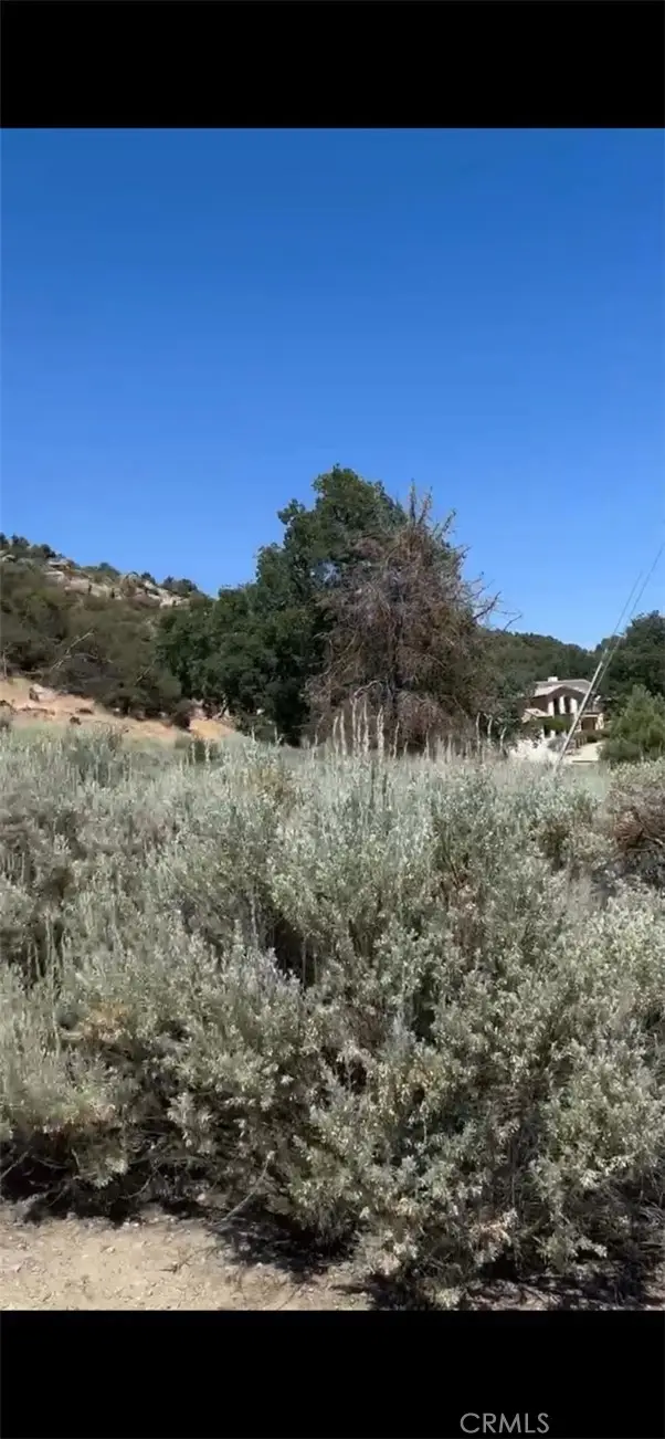 24151 Jacaranda Drive, Tehachapi, CA 93561 - Image #3