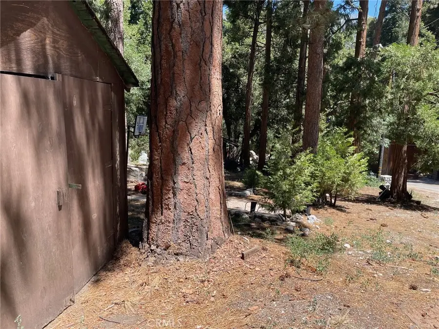 0 Cedar, Forest Falls, CA 92339 - Image #3