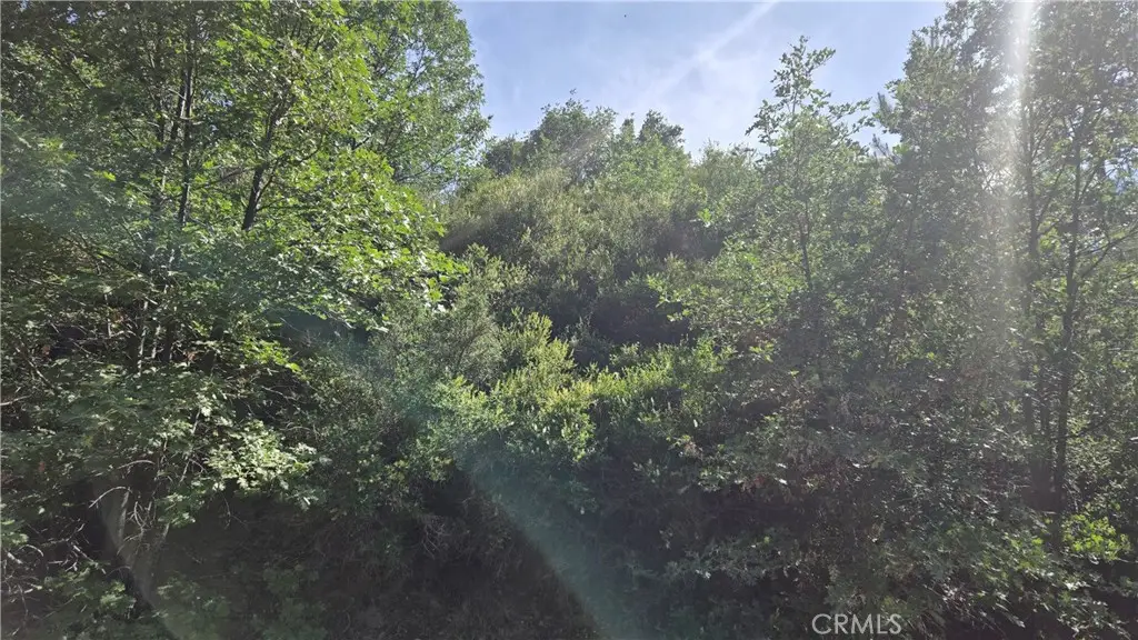 0 Elder Drive, Cedar Glen, CA 92321 - #1