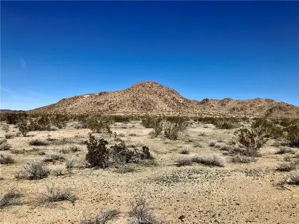 0 Palomino Road, Helendale, CA 92342