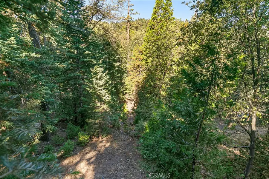 628 Rose Lane, Twin Peaks, CA 92391 - Image #3