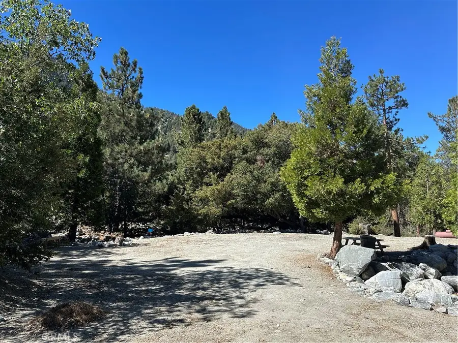 41385 Alder Drive, Forest Falls, CA 92339 - #3