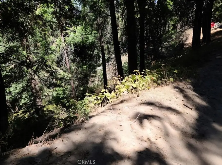 0 El Valle, Cedarpines Park, CA 92322 - #2
