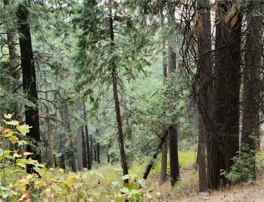0 El Valle, Cedarpines Park, CA 92322 - #3