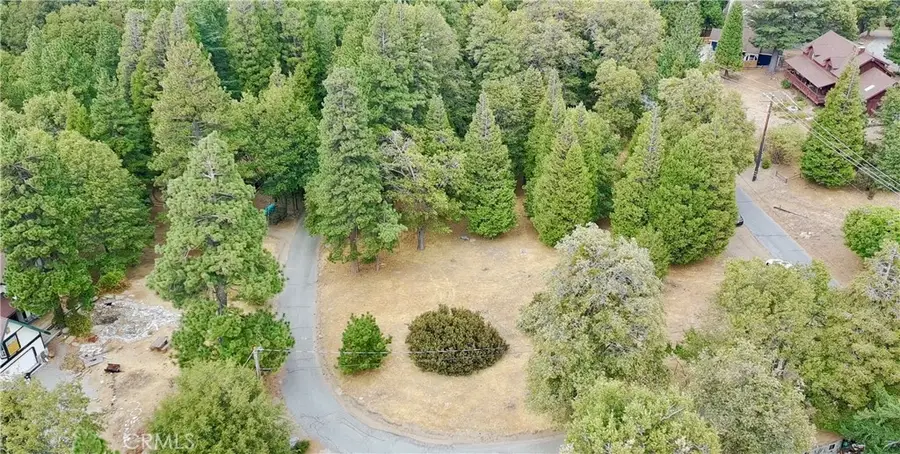 0 Mojave River Rd, Cedarpines Park, CA 92325 - Image #2