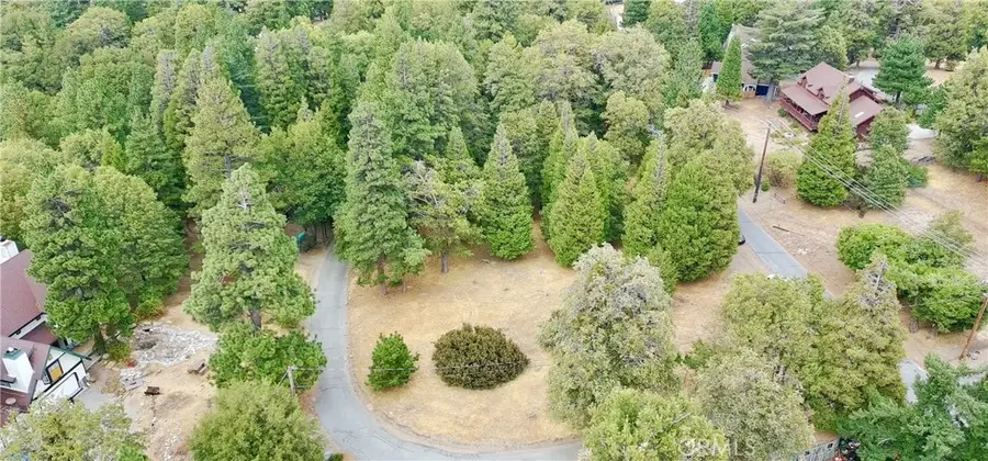 0 Mojave River Rd, Cedarpines Park, CA 92325 - Image #3