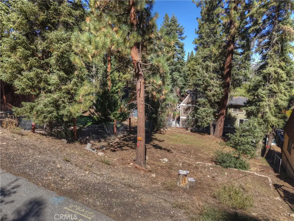 42994 Falls Avenue, Big Bear Lake, CA 92315 - Image #1