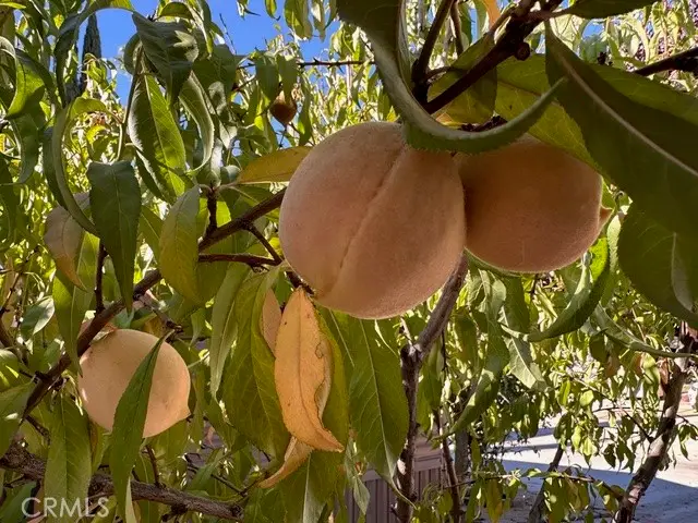 913 S Grand Avenue #172, San Jacinto, CA 92582 - Image #3