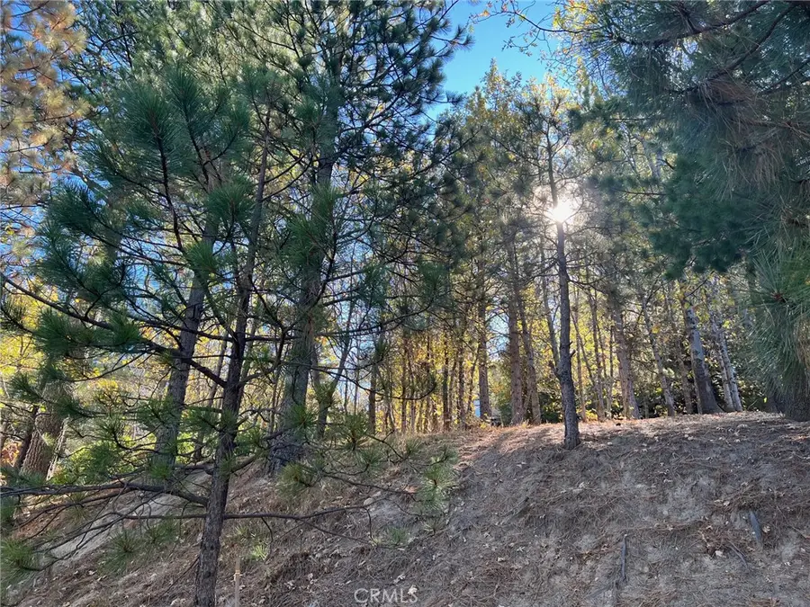 82 Pixie, Running Springs, CA 92382 - Image #2