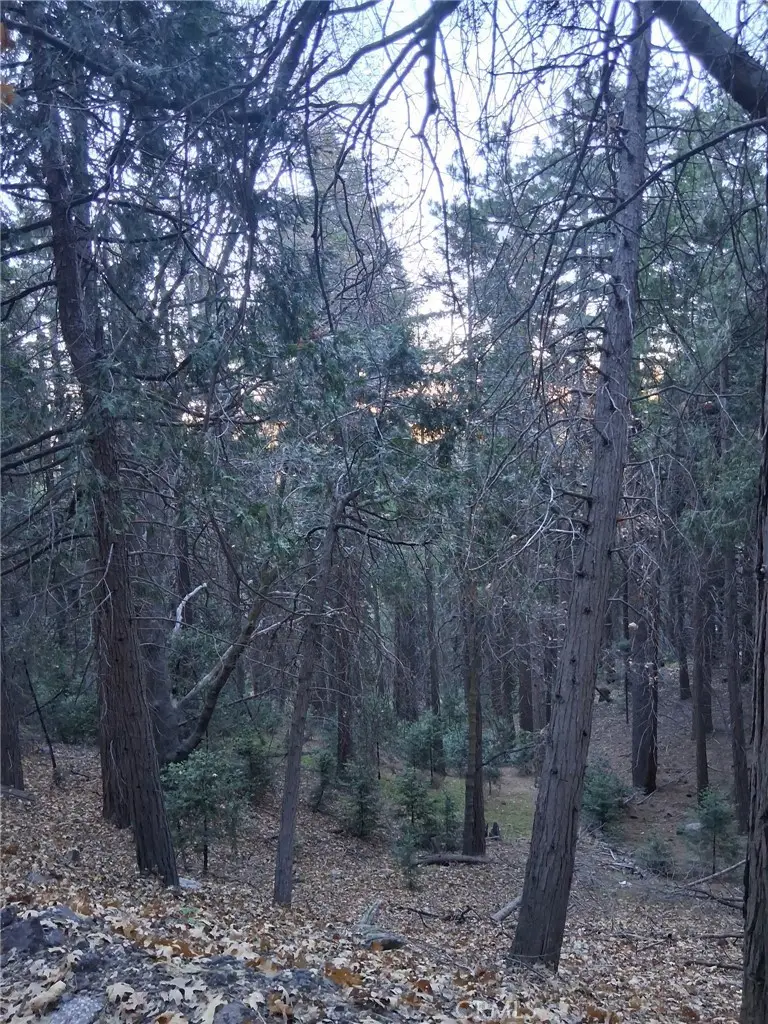 0 Reservoir, Cedarpines Park, CA 92322 - Image #1