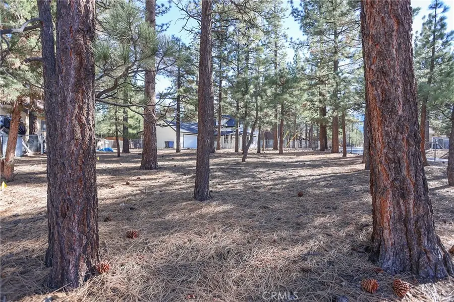 0 Dutch, Big Bear City, CA 92314 - Image #2