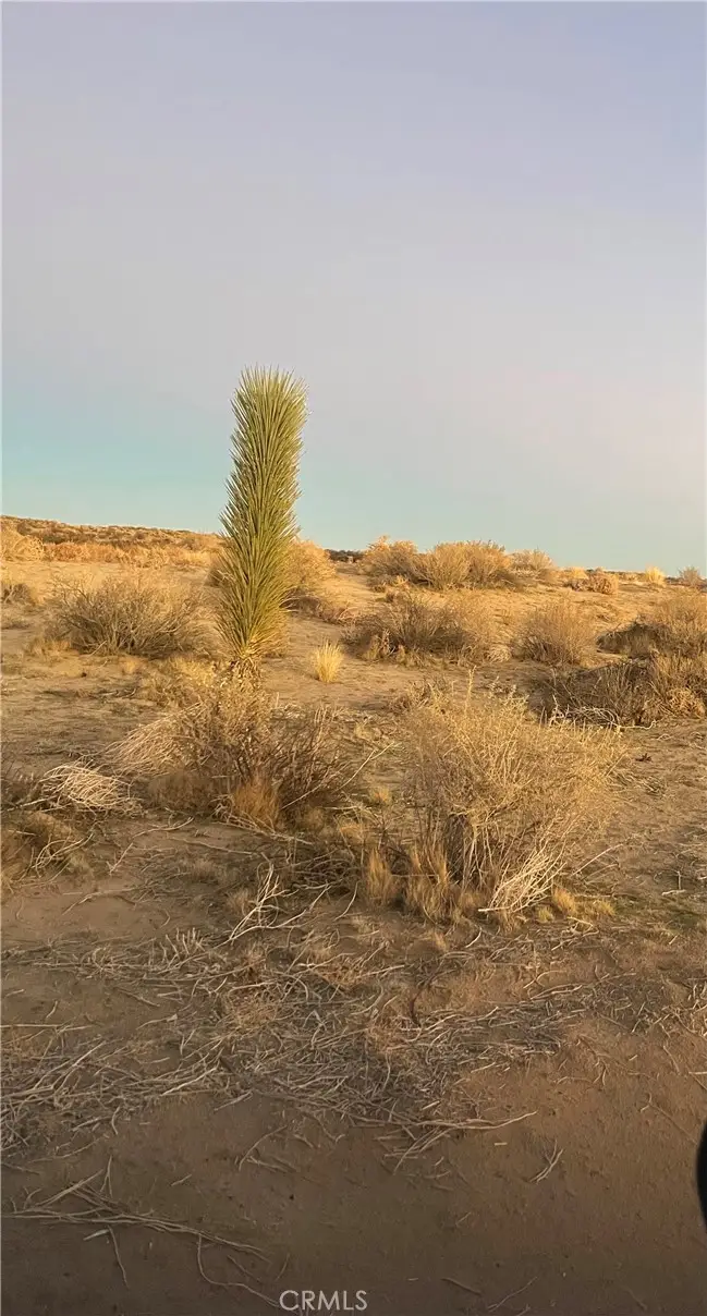 0 Vac/corner P4/220 Ste Avenue, Palmdale, CA 93591 - Image #2