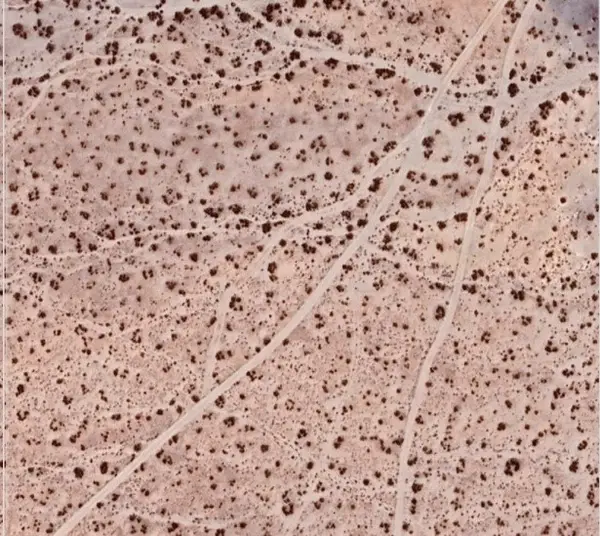 0 0, Helendale, CA 92342