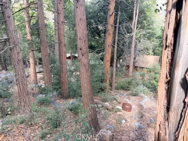 40904 Spruce, Forest Falls, CA 92339 - Image #2