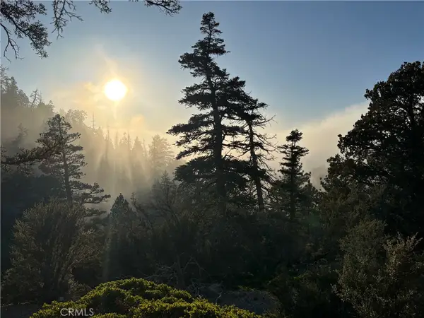 0 Ironwood, Angelus Oaks, CA 92305