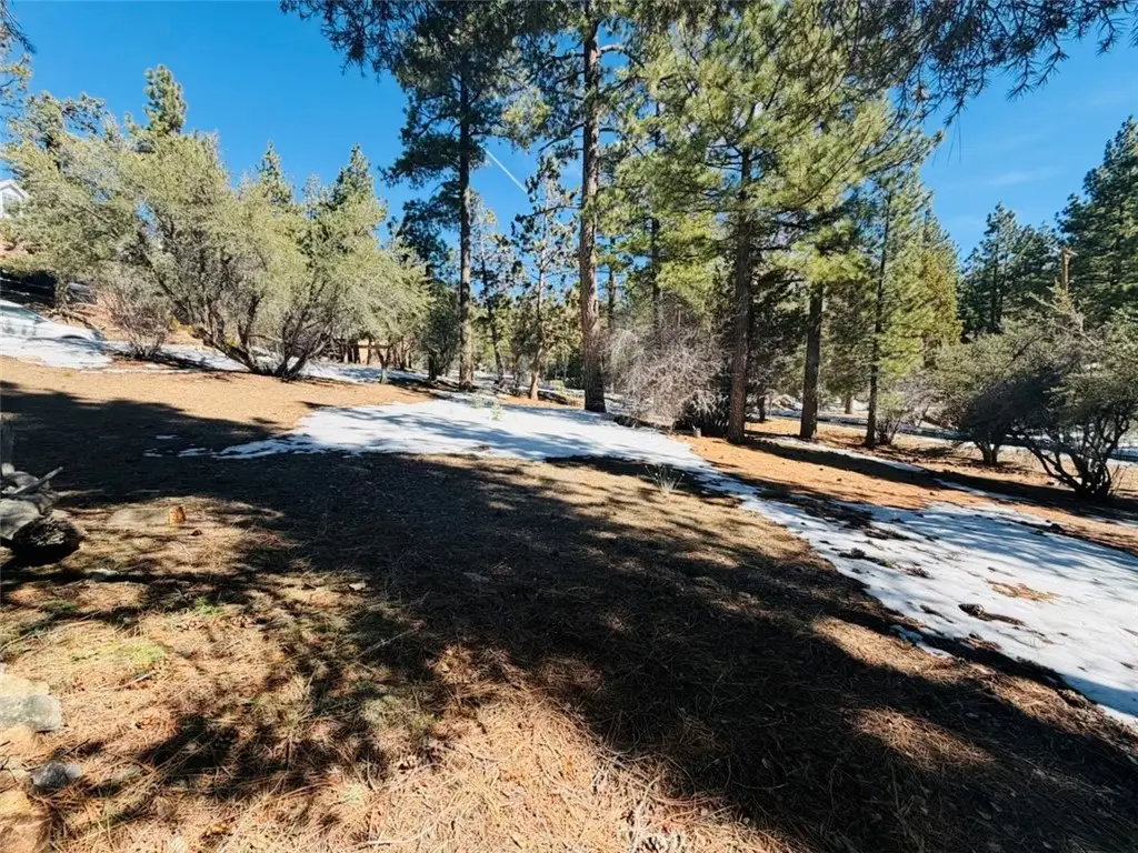 808 Antelope Mountain Drive, Big Bear City, CA 92314 - #1