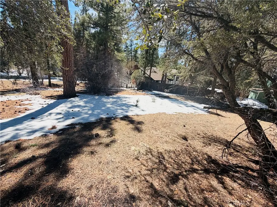 808 Antelope Mountain Drive, Big Bear City, CA 92314 - #2