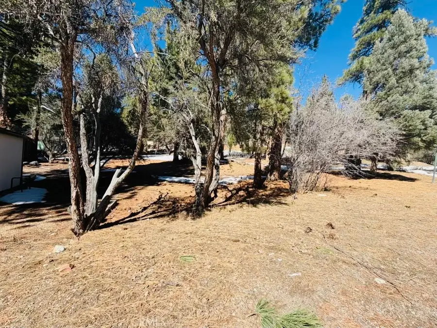 808 Antelope Mountain Drive, Big Bear City, CA 92314 - #3