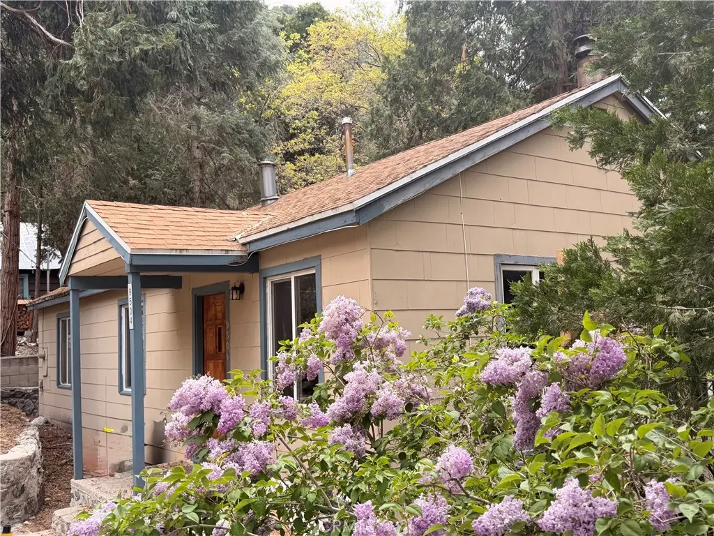 9504 Summit, Forest Falls, CA 92339 - #1