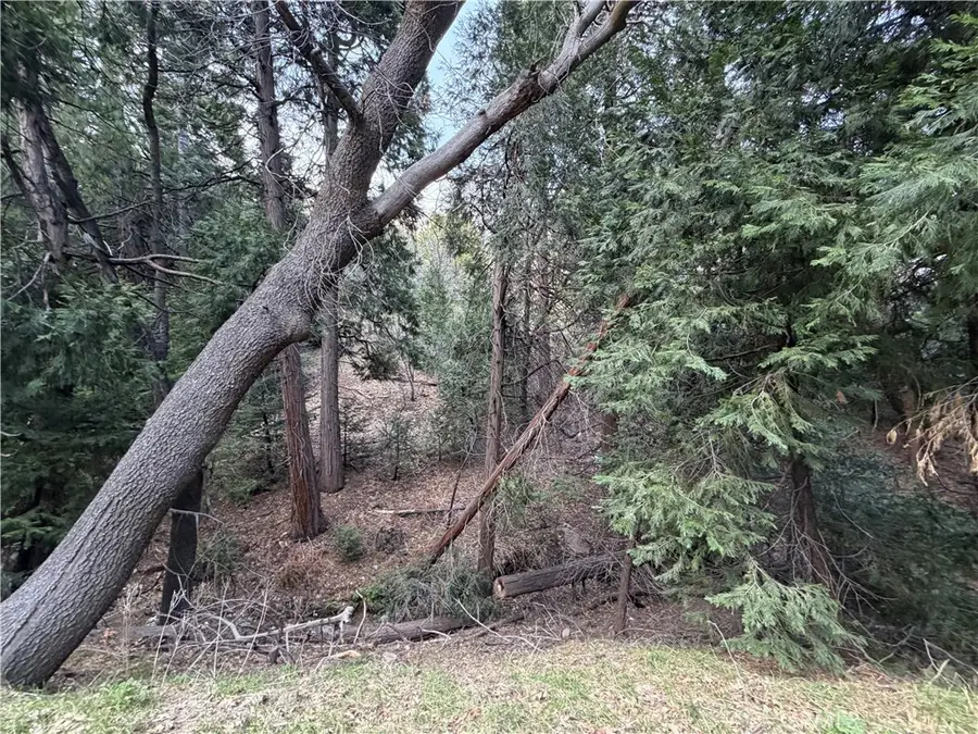 0 Hook Creek, Cedar Glen, CA 92321 - #3