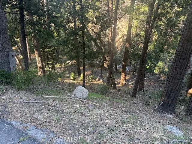 0 Valle, Crestline, CA 92325 - #2