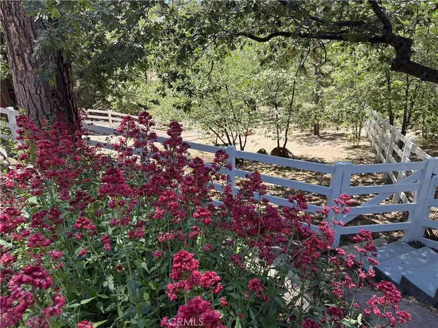32425 Snowshoe, Running Springs, CA 92382 - #2