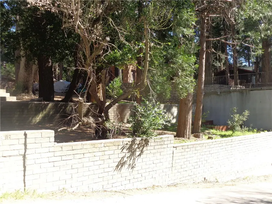 863 Big Oak Road, Crestline, CA 92325 - #2