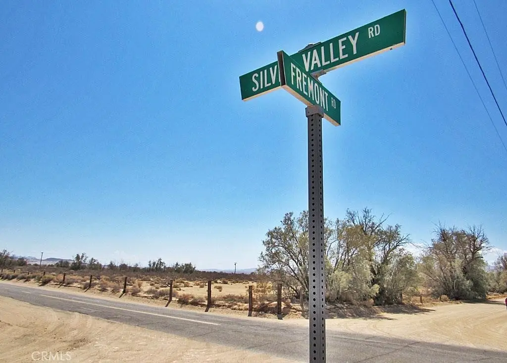 0 0531-151-31-0000 Silver Valley Road, Newberry Springs, CA 92365 - #1