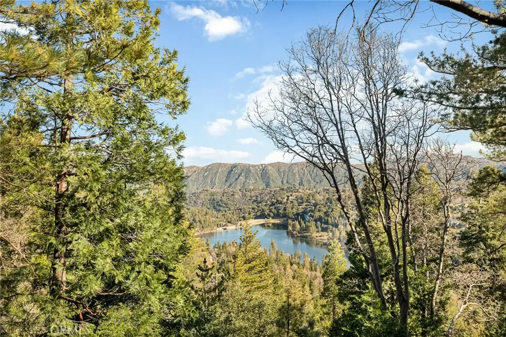 24502 Albrun Court, Crestline, CA 92325 - #1