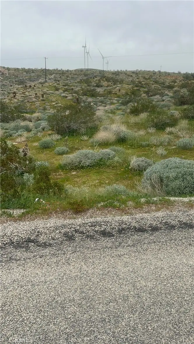 0 Painted Hills Rd, Whitewater, CA 92262 - #3