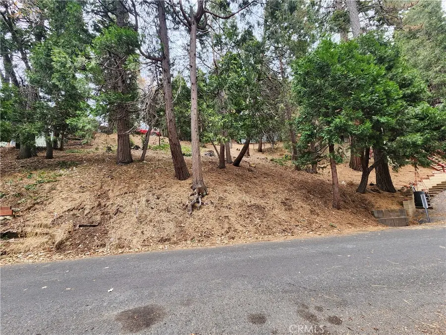 24397 Horst Drive, Crestline, CA 92325 - #3