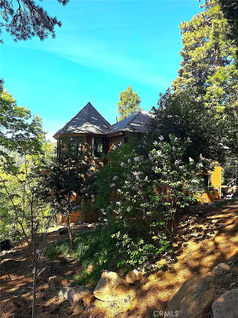 21425 Sawpit Canyon Road, Cedarpines Park, CA 92322 - #2