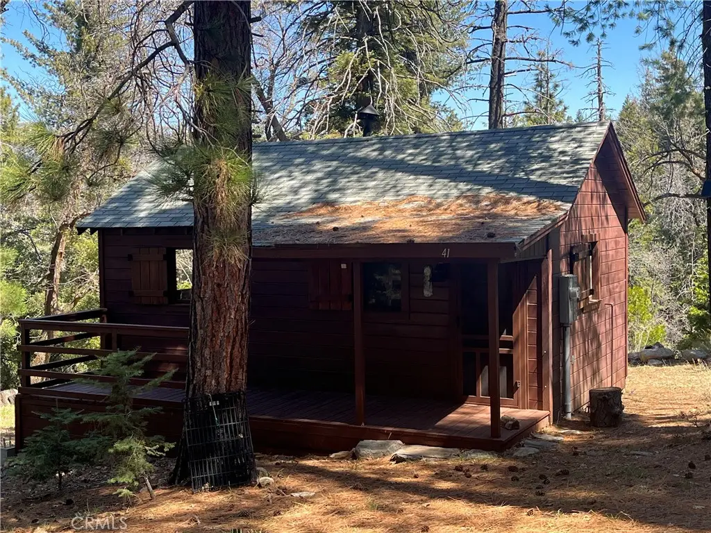 41 Stetson Creek, Angelus Oaks, CA 92305 - #1