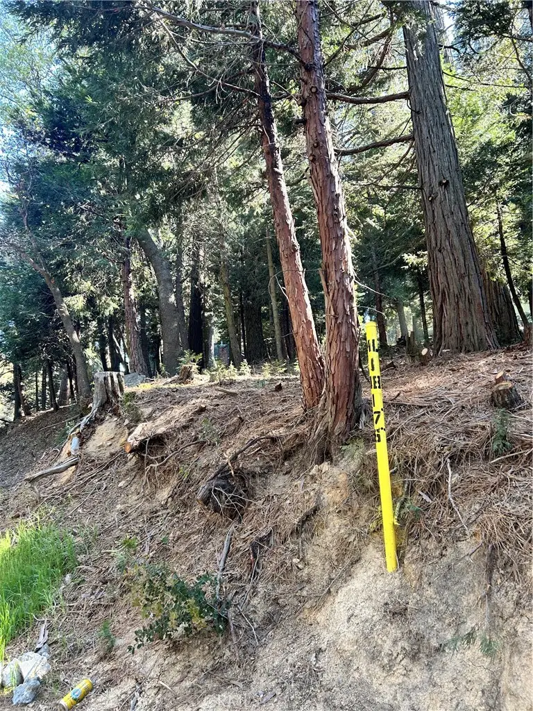 0 Forest Vw, Arrowhead, Twin Peaks, CA 92391 - #2