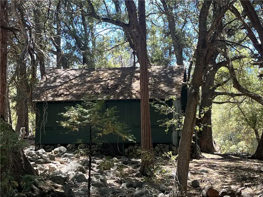 7 Oak Court #78, Angelus Oaks, CA 92305 - #3